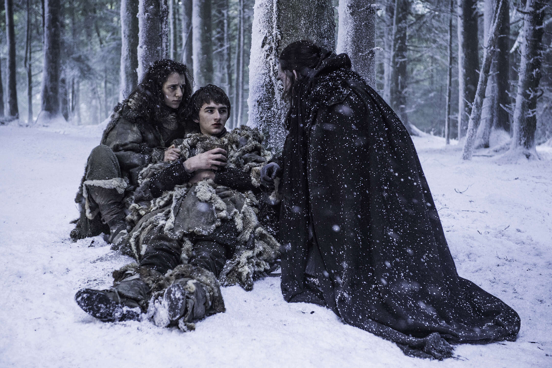 bran the wall theory