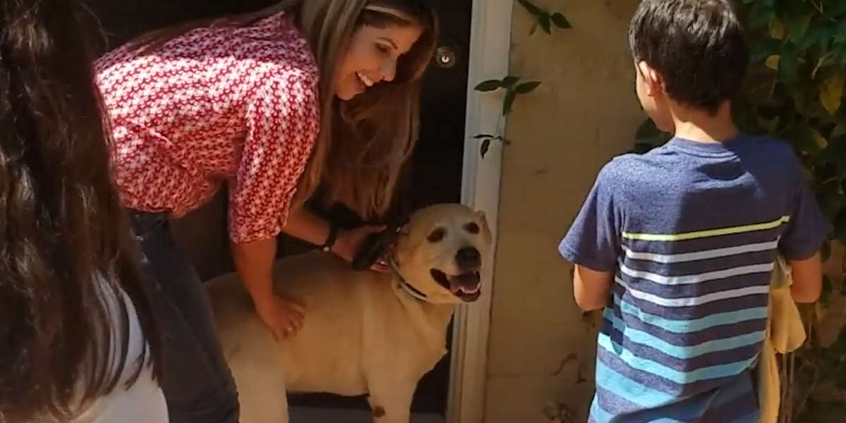 Dog Who Was Missing For A Year Finally Reunites With Her Family ...
