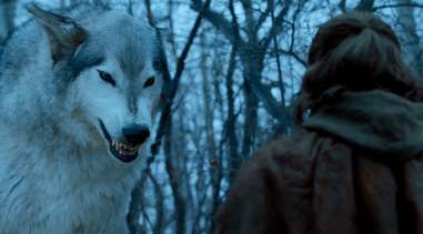 nymeria game of thrones