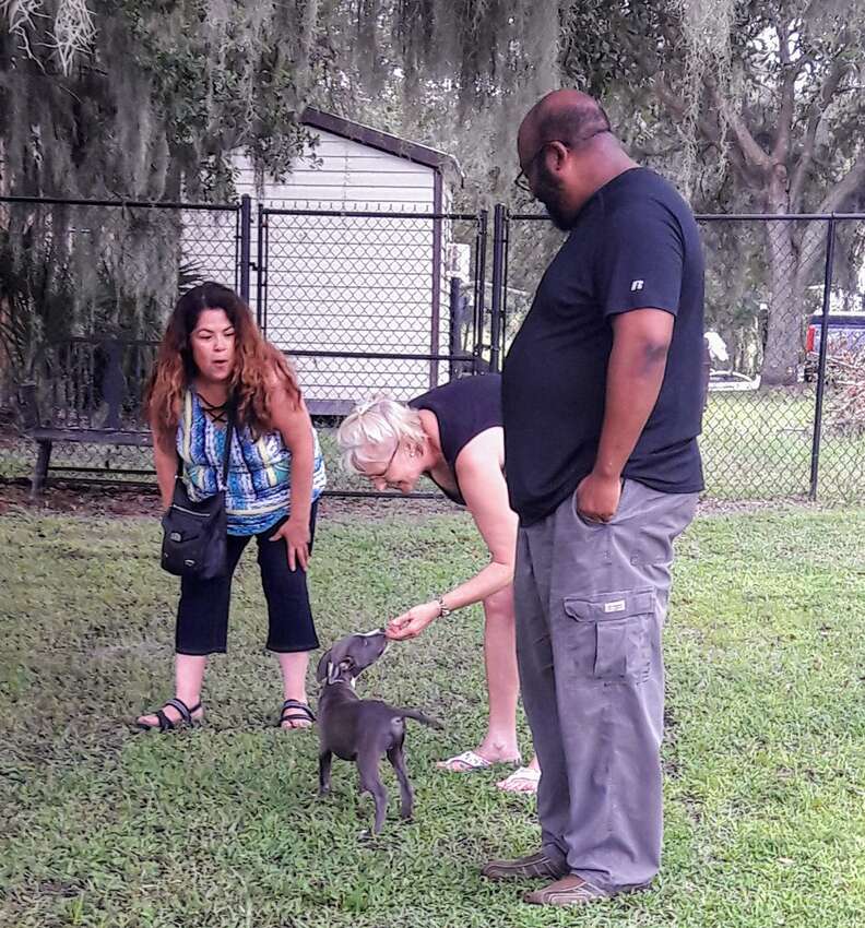 pit bull puppy found in backpack