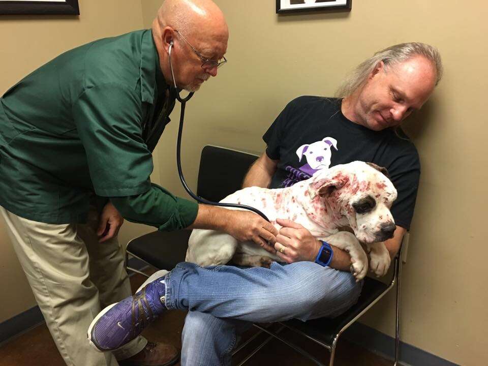Man holding injured dog at vet
