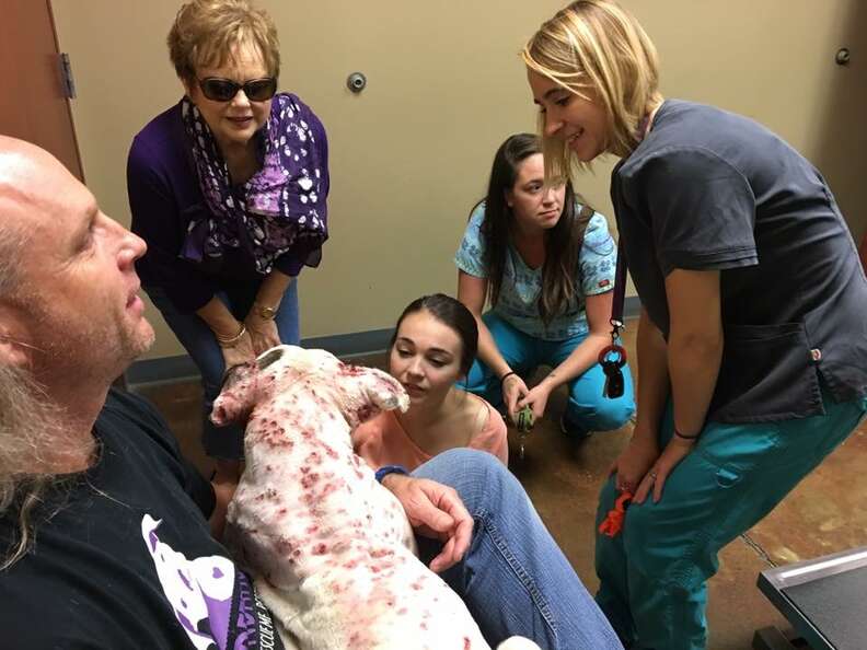 People gathered around rescue dog