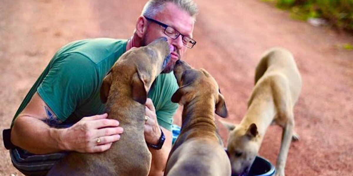 Man Rescuing Dogs This Guy Has Saved Hundreds Of Stray Dogs - Videos - The Dodo