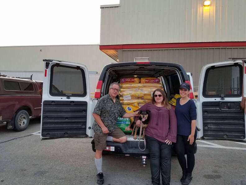 People collecting donations for dogs and cats stranded by wildfire