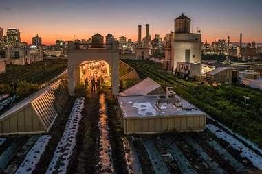 Brooklyn Grange