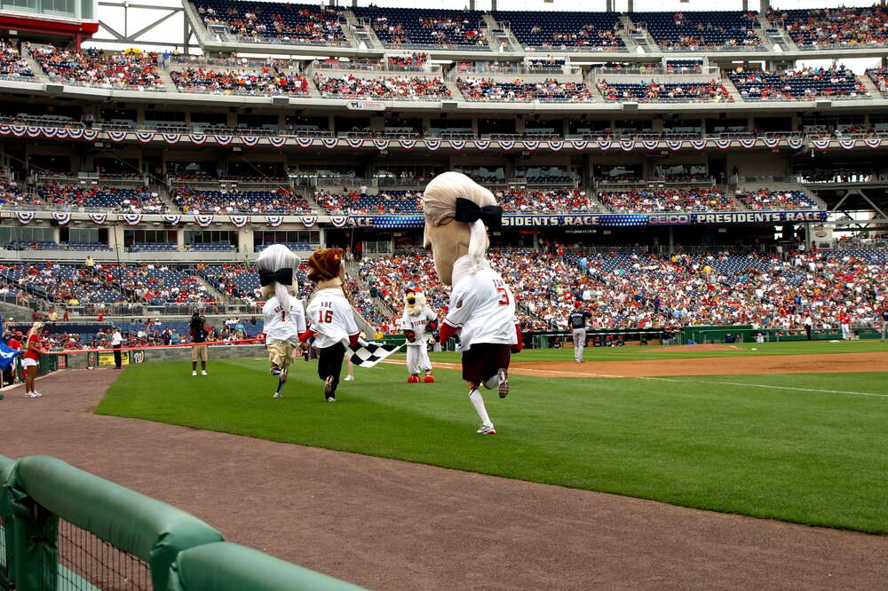 Baseball Parks That Allow Dogs