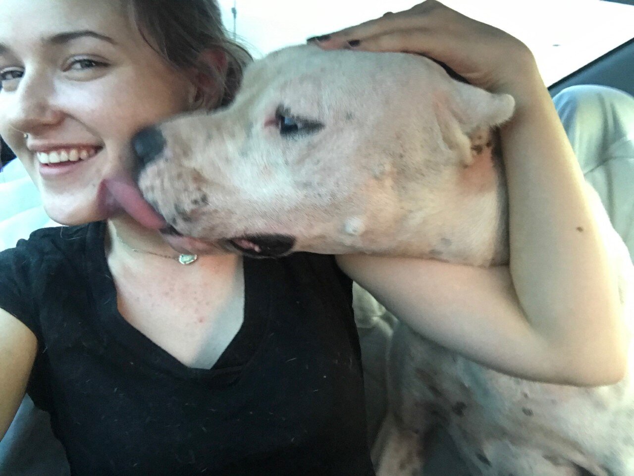 Kind Woman Reunites Man With His Dog Lost During Hurricane Harvey The