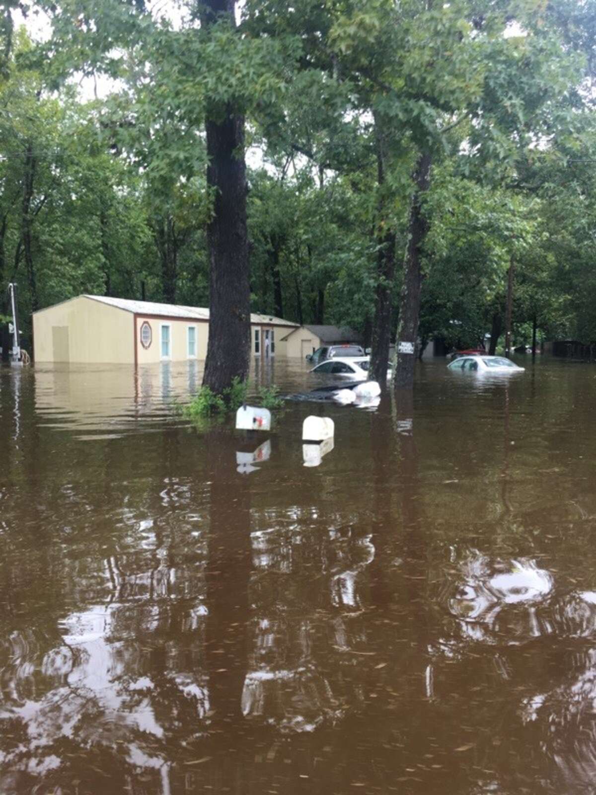 Kind Woman Reunites Man With His Dog Lost During Hurricane Harvey - The ...