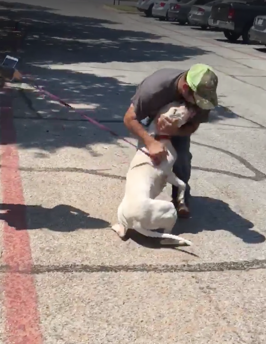 Kind Woman Reunites Man With His Dog Lost During Hurricane Harvey The