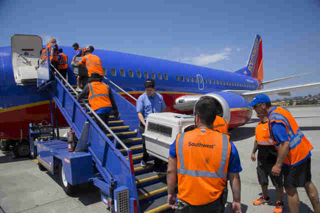 Southwest Airlines Flew 80 Shelter Animals From Houston To San Diego