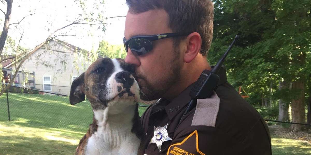 Abandoned Dog Goes Home With The Cop Who Saved Her - The Dodo