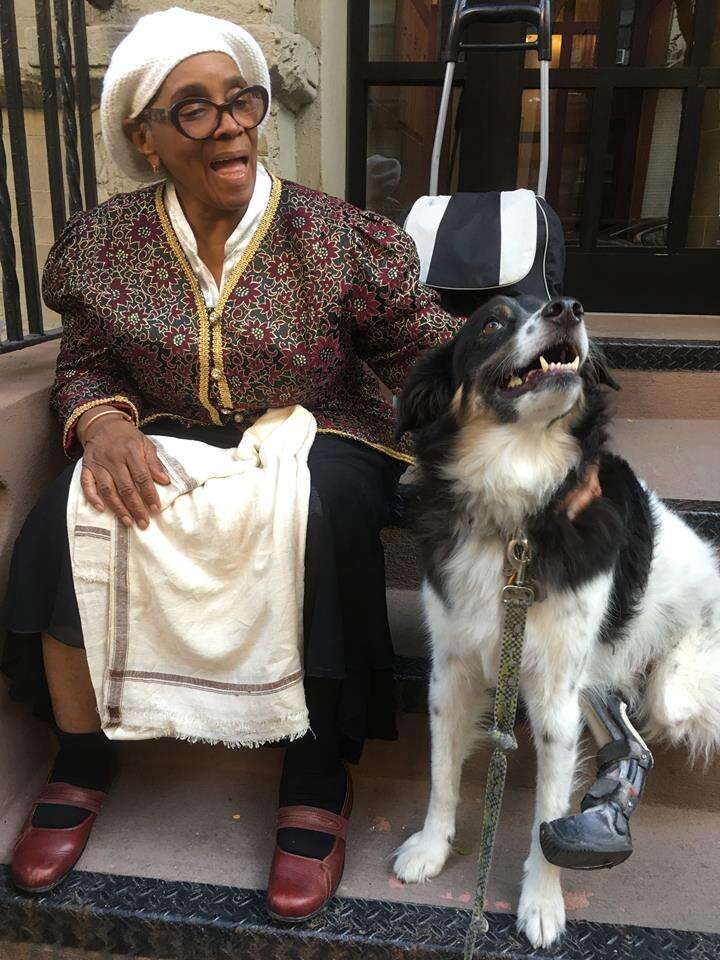 Dog comforting elderly woman