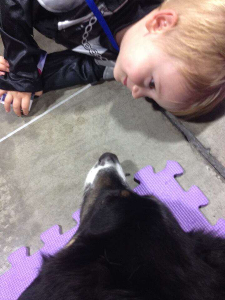 Dog lying down with child