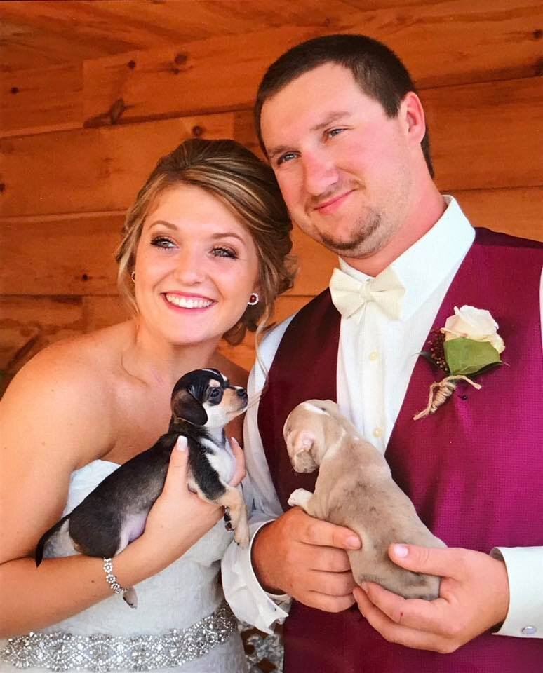 Bride Uses Adoptable Rescue Puppies As Bouquets At Her Wedding The Dodo