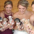 Bride Invites Rescue Puppies To Be 'Bouquets' At Her Wedding