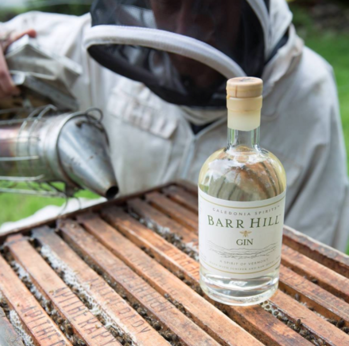 Best Sipping Gin How to Drink Gin Neat Thrillist