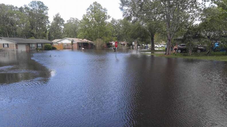 Flooded Florida neighborhood after Hurricane Irma
