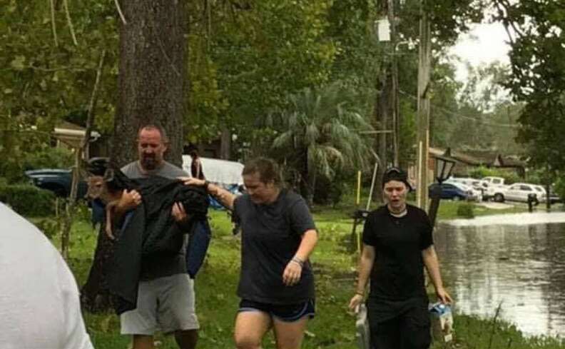 People carrying injured deer they saved from hurricane 