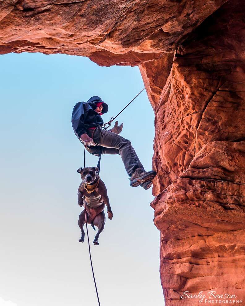 anxious dog loves to adventure now