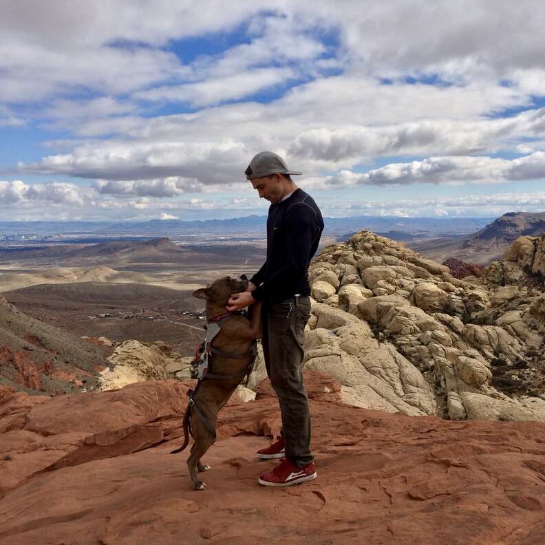 anxious dog loves to adventure now 