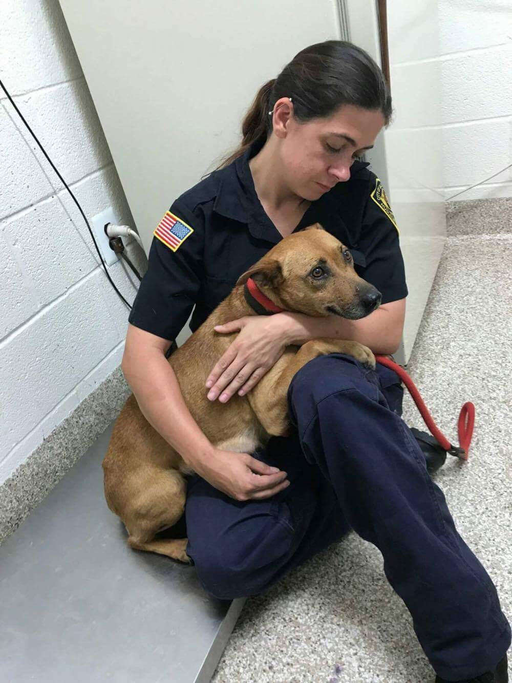Officer holding rescued dog