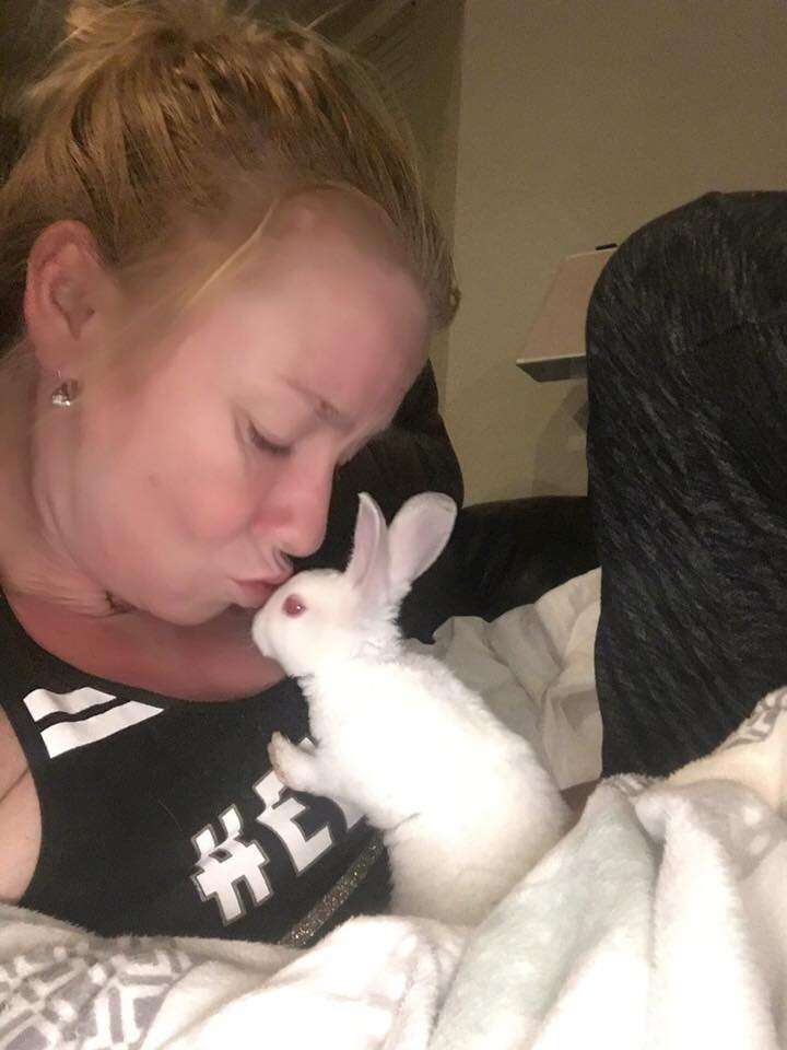This Woman Is Trying To Stop The Abandoned Bunny Problem In Las Vegas ...