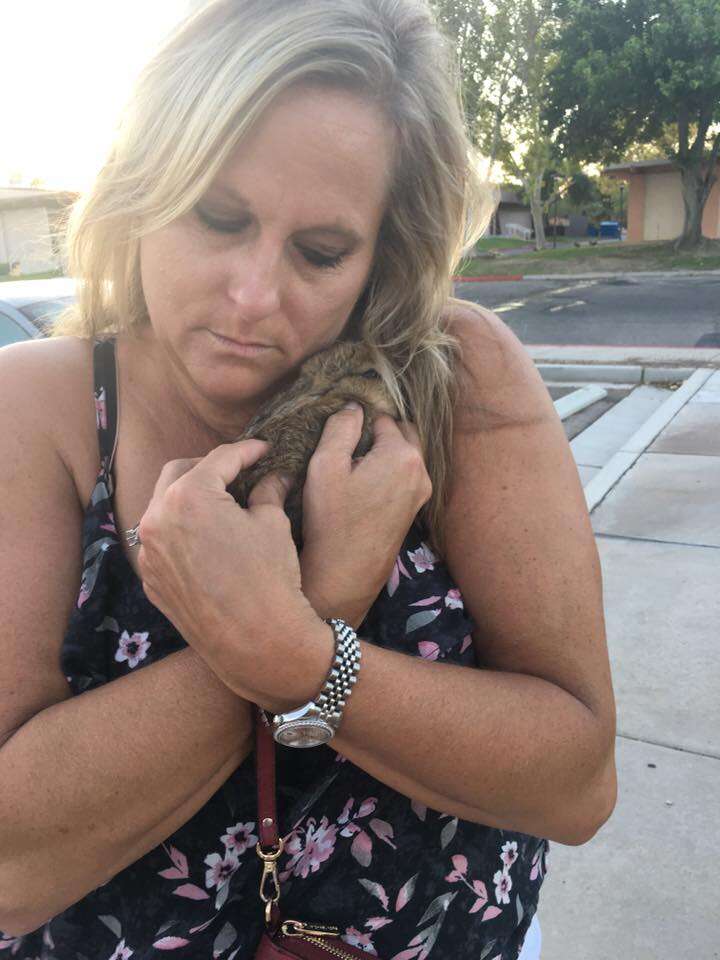 Woman hugging rescue rabbit