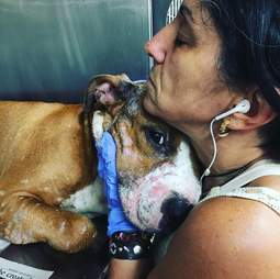 rescue dog gets hug
