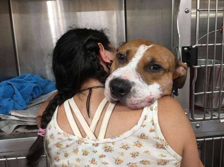 dog rescued gets a hug