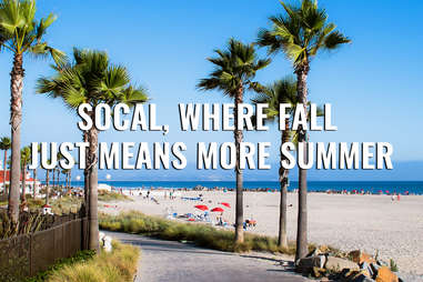 San Diego beach with palm trees