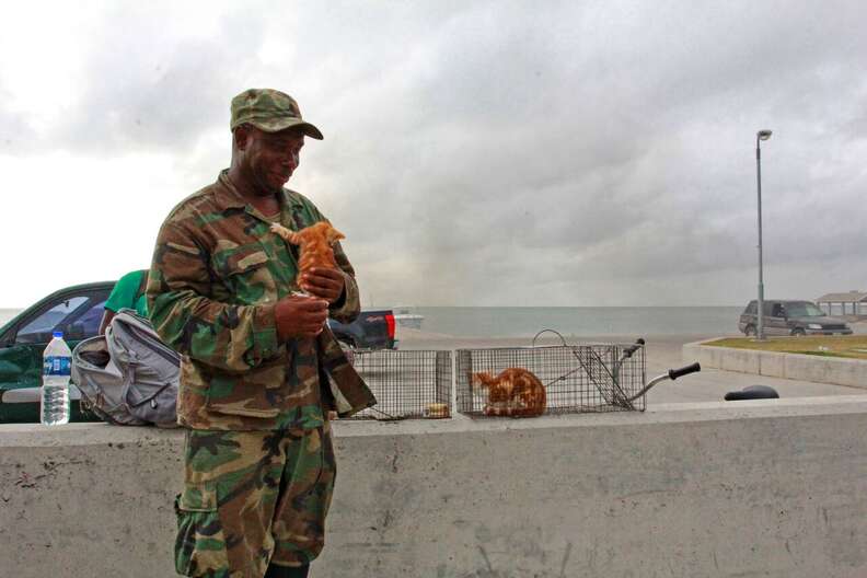 Soldier holding tiny kitten