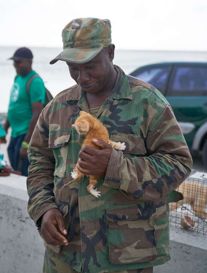 Soldier holding tiny kitten