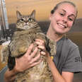Shelter's Fattest Cat Gets The Family She's Always Deserved