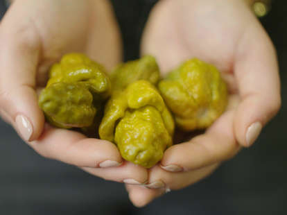 world's hottest pepper