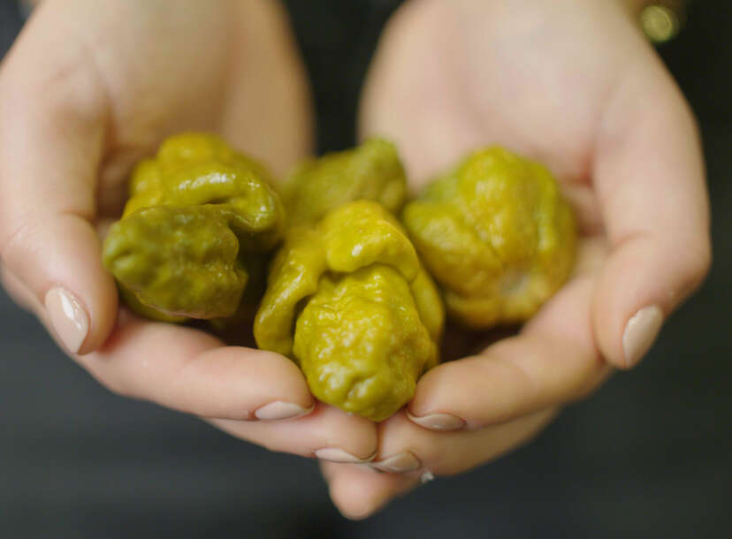 Meet Pepper X: Now The Spiciest Chilli In The World