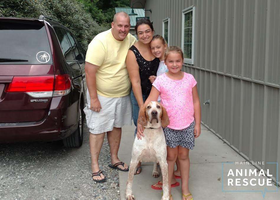 Rescued hound with new family