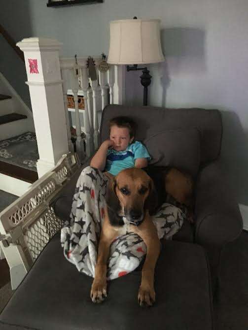 Boy with rescued hound