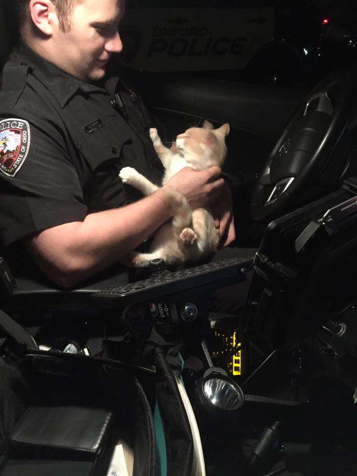 Cop Becomes Foster Dad To Cat Who Jumped In His Police Car - The Dodo