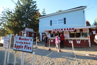 Masker Orchards