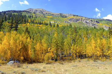 aspen rocky mountains