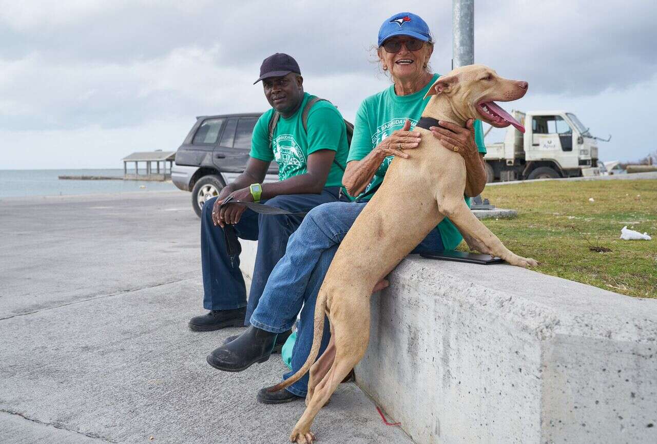 People with rescued dog at port
