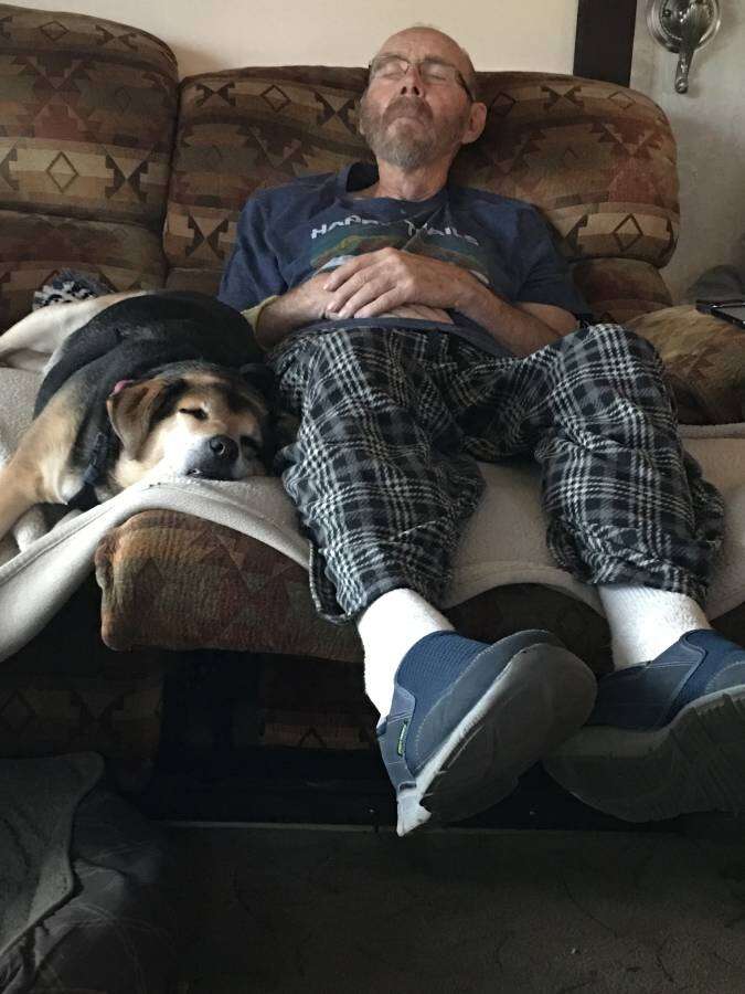 dog napping with his dad