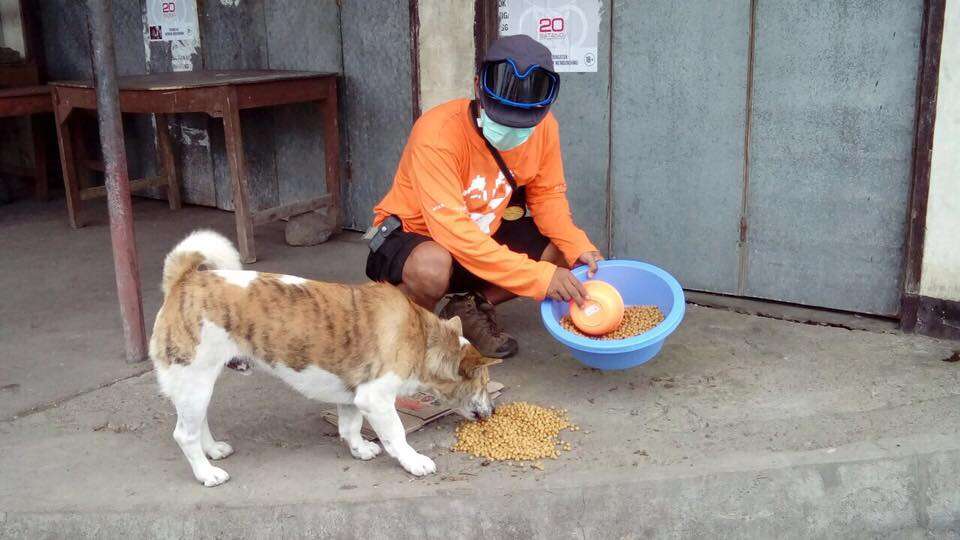 Rescuer feeding abandoned dog
