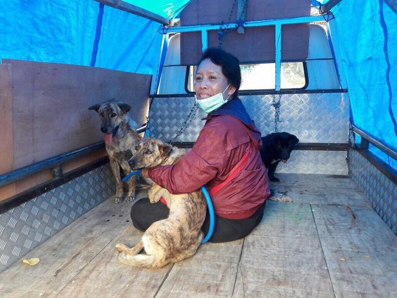 People Are Rescuing Thousands Of Animals Before Bali Volcano Eruption ...