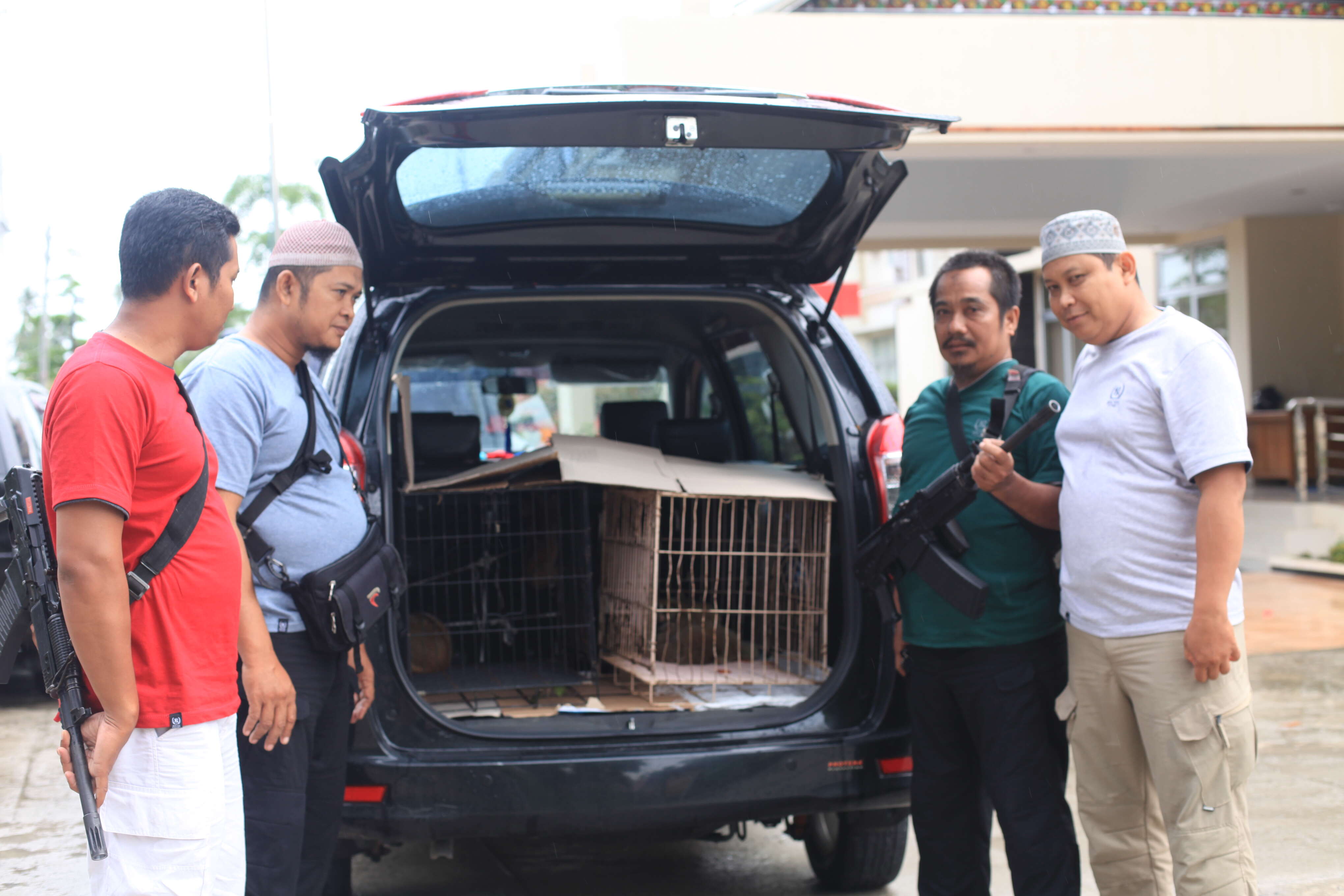 Slow lorises getting rescued