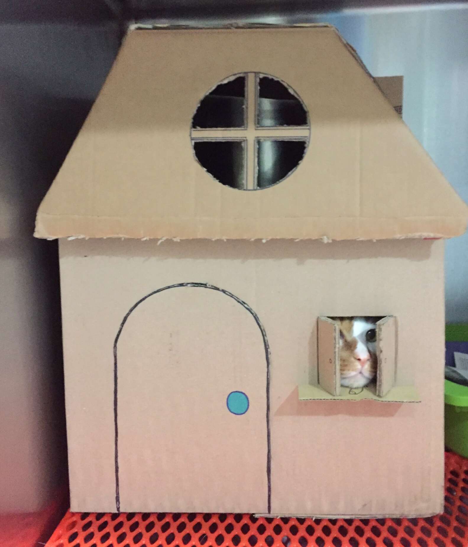 Картонный домик для кошки своими руками