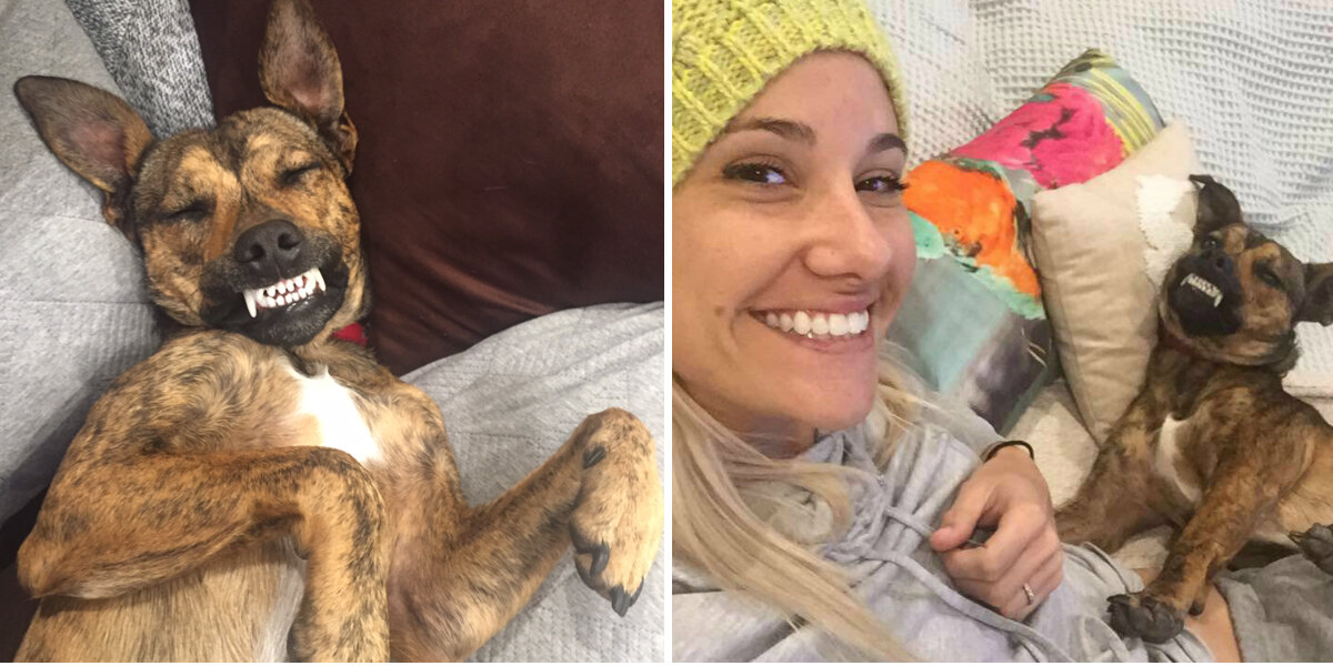 Rescue Dog Accidentally Makes The Funniest Faces For His Mom - The Dodo