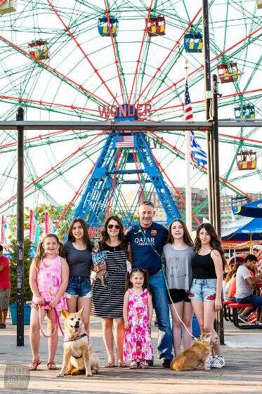 dogs and people in front of ferris wheel