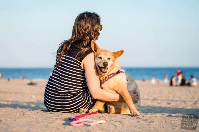 dog with woman on beach