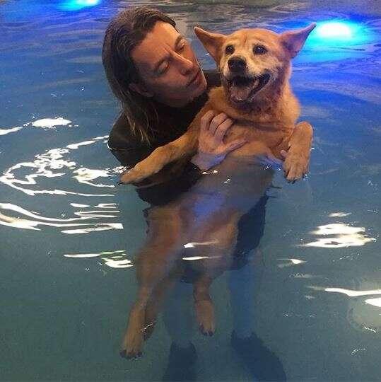 dog in pool with woman